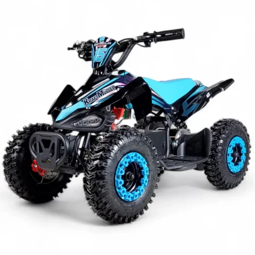 Quad Carbone Eco 1000w 36V Électrique